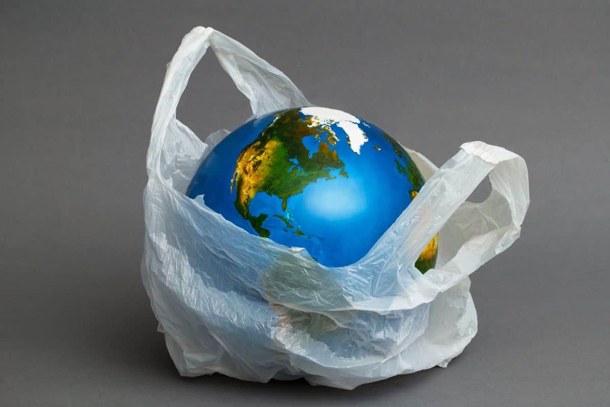 The Best Eco-Friendly Plastic Snack Bag Alternative