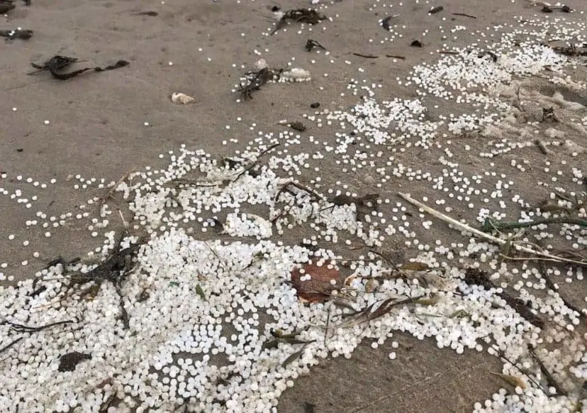 microplastics in sea salt