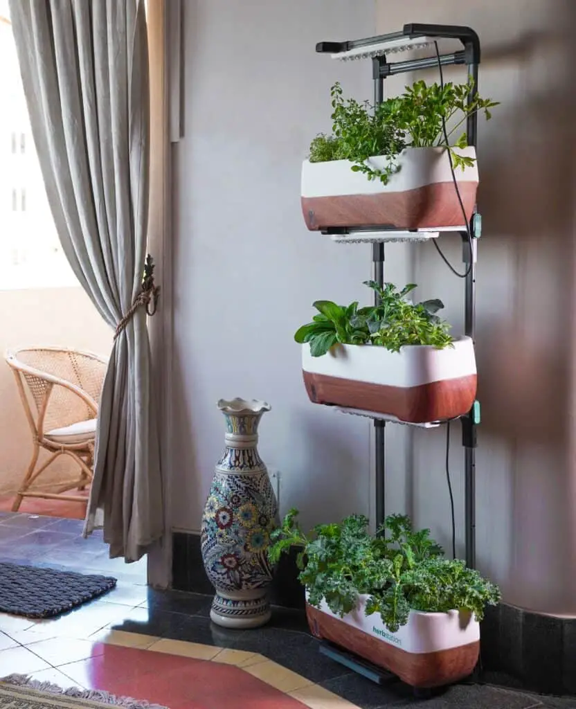 make an indoor garden