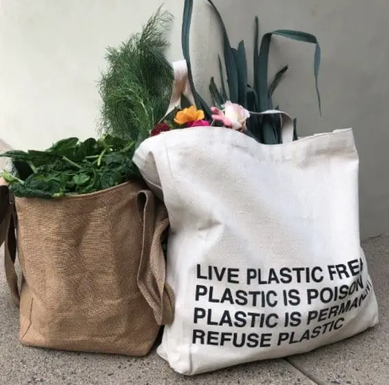 lifewithoutplastic tote