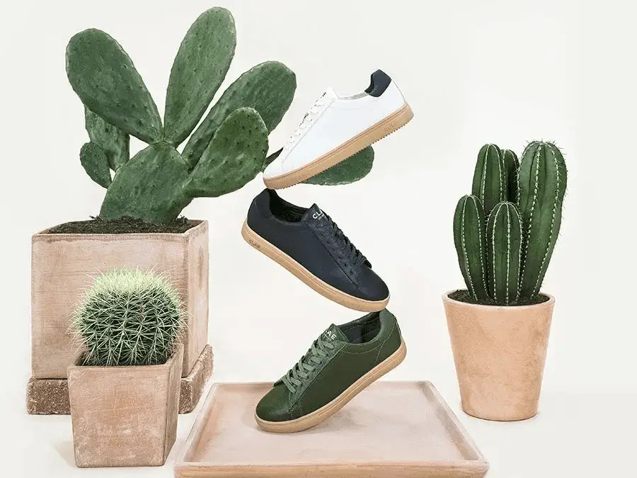 What Is Cactus Leather. A Sustainable Alternative To Leather